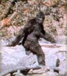 bigfoot