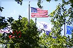 Flags fly over the Worcester County Veterans Memorial at Ocean Pines. 5/22/2015.