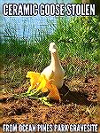 Ceramic goose placed on OPA goose grave site is reported stolen.