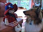 Andrea and Jack Barne's therapy dog Tobi in July 4th photo entered in Collie Rescue calendar contest.