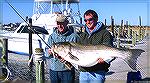 Joe Zimmer (left) and guide show off 65pound striped bass caught offshore of Oregon Inlet in December 2010.