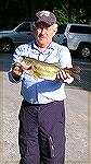 Chuck Tornetta  caught a five pound or better largemouth bass  in the South Gate Pond late afternoon of June 9, 2017.   He went back the next day and caught this 3.8 pound beauty. 