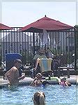 Is this what "Family Friendly" means at the Yacht Club Pool (aka Oasis)? Parents drink while non-swimmer young children paddle in the shallows?