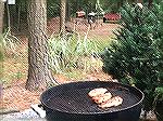Neighbors in background not bothered by aroma of another species on the grill