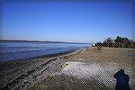 Looking towards Ocean city