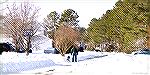 Pet owner walks his dog along snow-covered road in Ocean Pines.