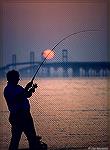 Bob Blatchley after bluefish at the Chesapeake Bay Bridge, Maryland.