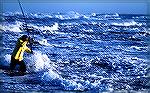 Surf fisherman battles the waves at Cape Hatteras.