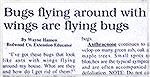 we need newspapers