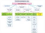 Revised organization chart for interim management.