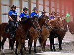 The Ocean City mounted police. The horses are kept at Bay Point Equestrian Center adjacent to Ocean Pines. 