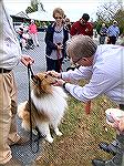 Pastor Rev. Dale Brown of Community Church at Ocean Pines gives a blessing to therapy dog Tobi at the Blessing of the Animals event in October. 