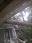 Tree on house 