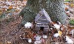 Images from a visit to a Gnome Village along the shore of Veterans Memorial Pond at the South Gate.