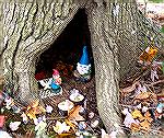Images from a visit to a Gnome Village along the shore of Veterans Memorial Pond at the South Gate.