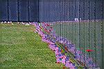 Wall That Heals - Ocean Pines Veterans Memorial April 2021