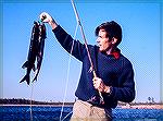 Joe Reynolds shows off some fly-caught Eastern Chain Pickerel. This was on the Eastern Shore of Maryland's Chicamacomico River (The Chick). Most likely circa March or April of 1975. Forty-five years a