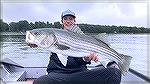 My nephew Finn Sheehan caught this 39inch striped Bass in Maine!