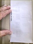 2021 election vote by Slobodan Trendic