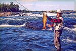 Joe Reynolds with a trophy brook trout caught while on a 60-mile float trip on Gods River in northern Manitoba. Digital image from an original Kodachrome 64 slide, circa 1984.