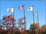 The American Flag and flags of the five Military Service branches, Army, NAVY, Marine Corps, Coast Guard, and Air Force.