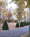 Public Works & Katie Goetzinger from Parks & Rec were busy setting up our Christmas trees at White Horse Park. They are beautiful. I'm looking forward to next Saturday's tree lighting.