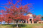 Scene at Ocean Pines Post Office in late November 2021.