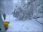 Kerry Nelson during the 2010 Snowstorm