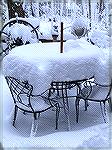 Blizzard, January 28th 2022. Official measurement from the Barnes deck table exactly 12". 