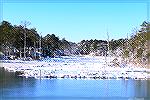 A view of Jakes Gut off Manklon Creek in Ocean Pines.