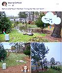 My property before & after Scotland Yards did an amazing job! They brought in fill, top soil and sod to eliminate massive yard flooding! In addition, sump pumps, drains and all pines trees were trimme