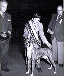 George winning National Jr Championship at Westminster 1954