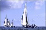 Skipjack race, Deal Island