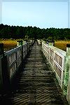 A fishing pier I found this afternoon .