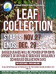 Leafs collection info 2023. 