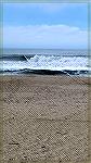   On Assateague National Park
Day after big storm .Not to good for surf fishing .