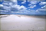 Cool afternoon on Assateague Island - April 2024